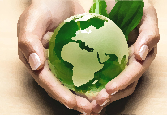 Environmental studies and services