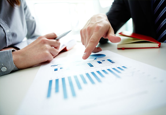 Feasiblity Studies, Project Management and Transaction Advisory