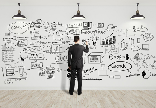Socio-economic studies- Surveys and Market Research